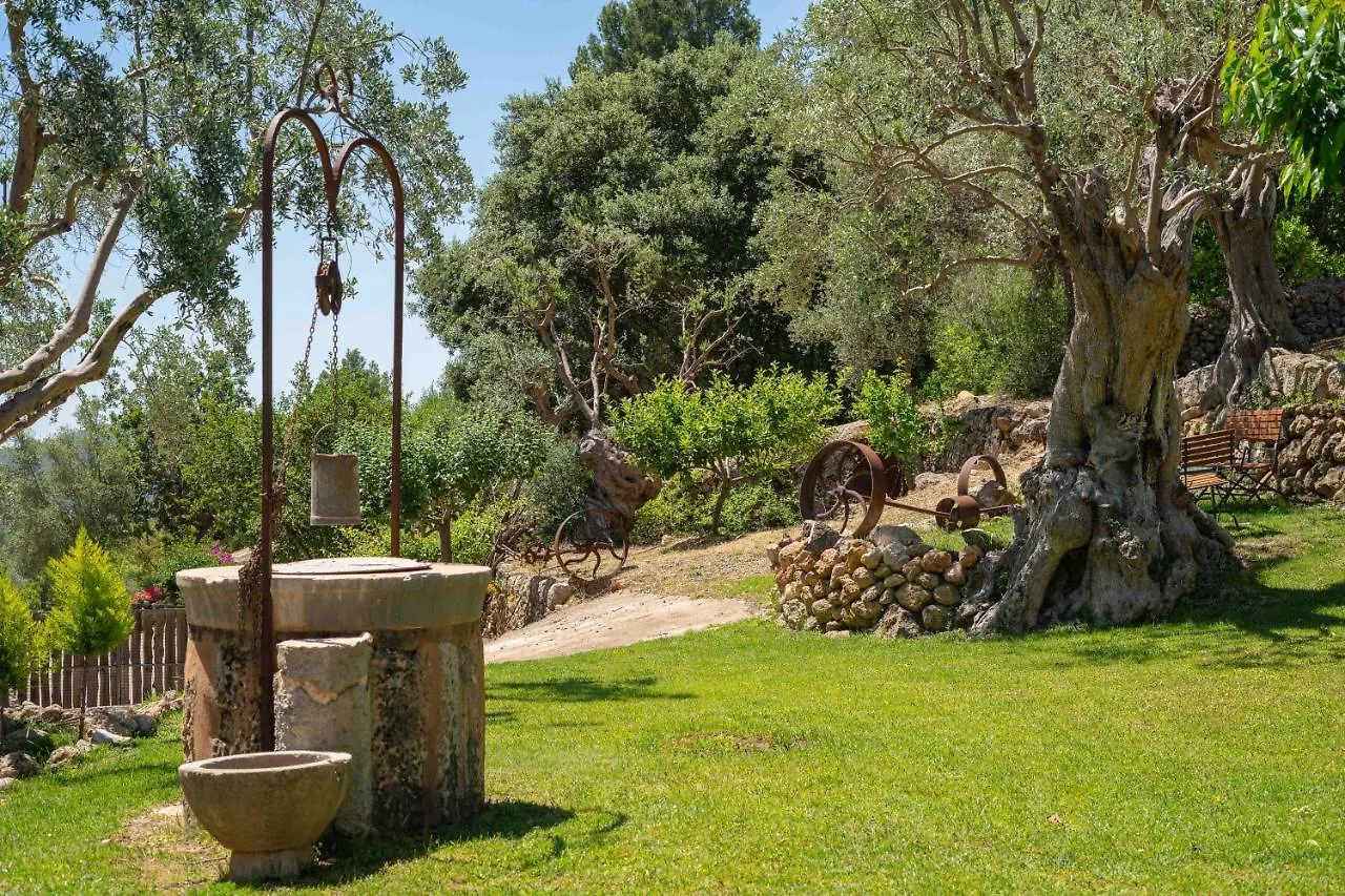 Hotel Rural S'Olivaret & Spa Alaró 4*,  España
